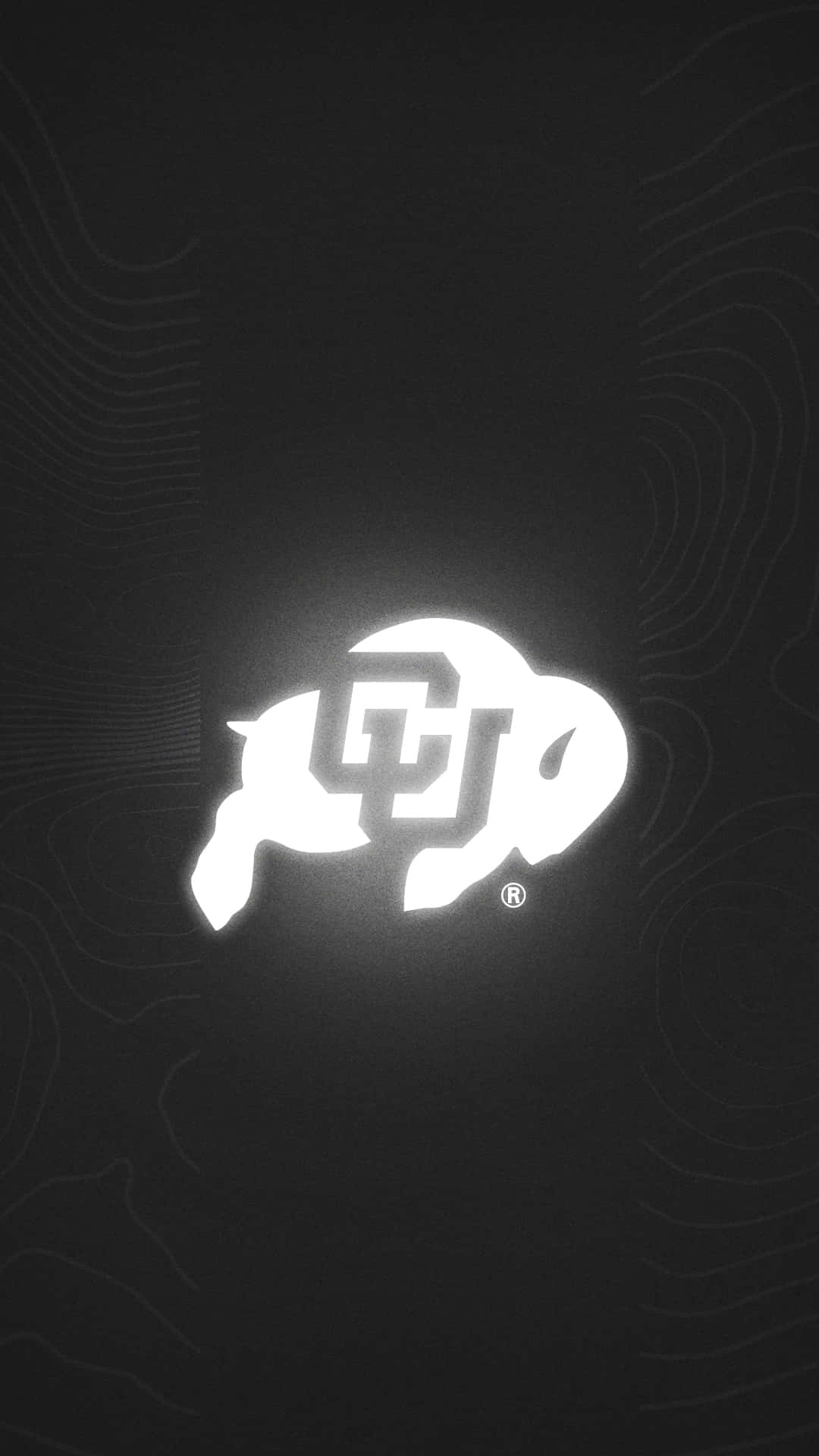 Colorado Buffaloes Logo Blackand White Wallpaper