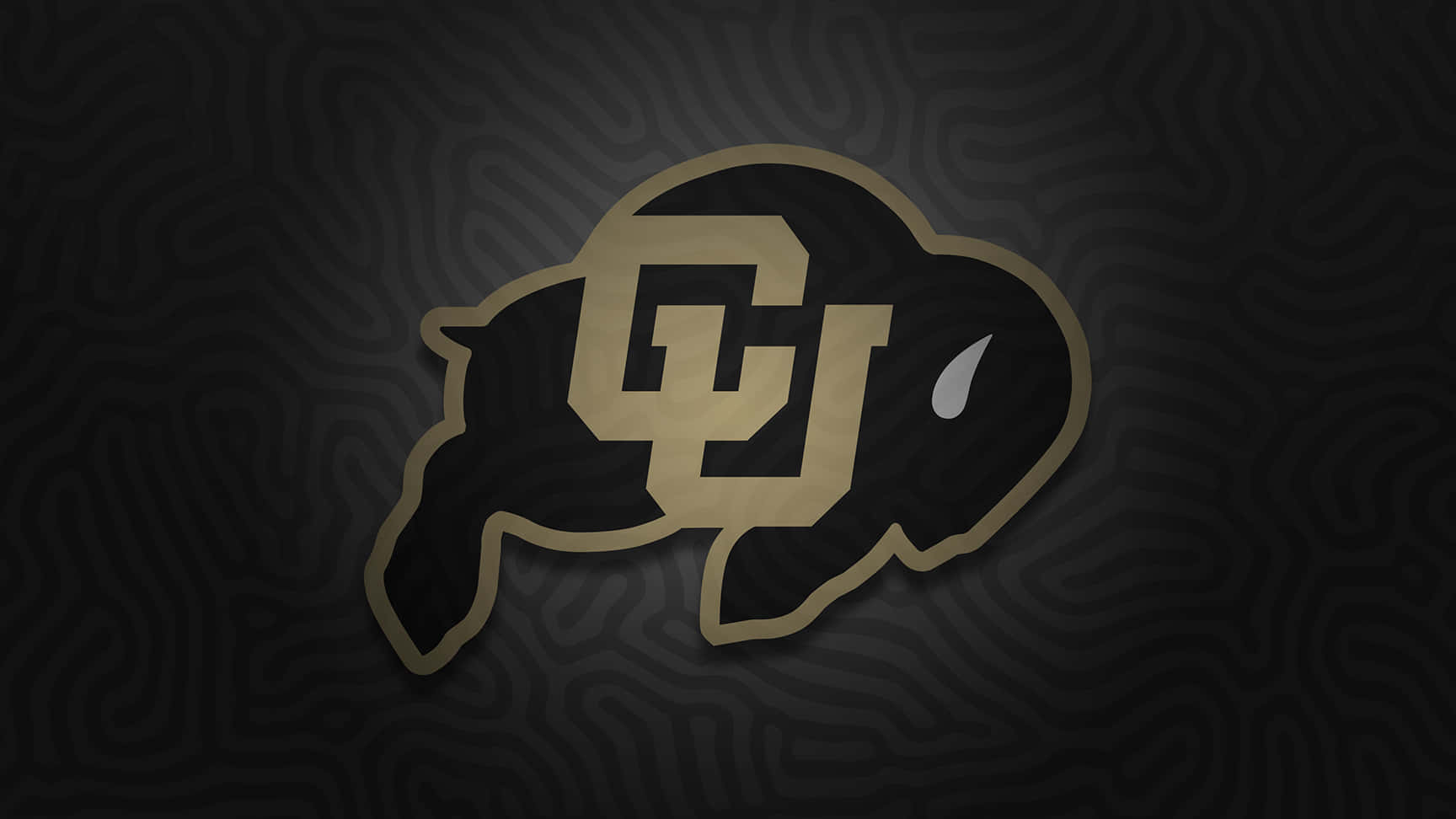 Colorado Buffaloes Logo Dark Background Wallpaper
