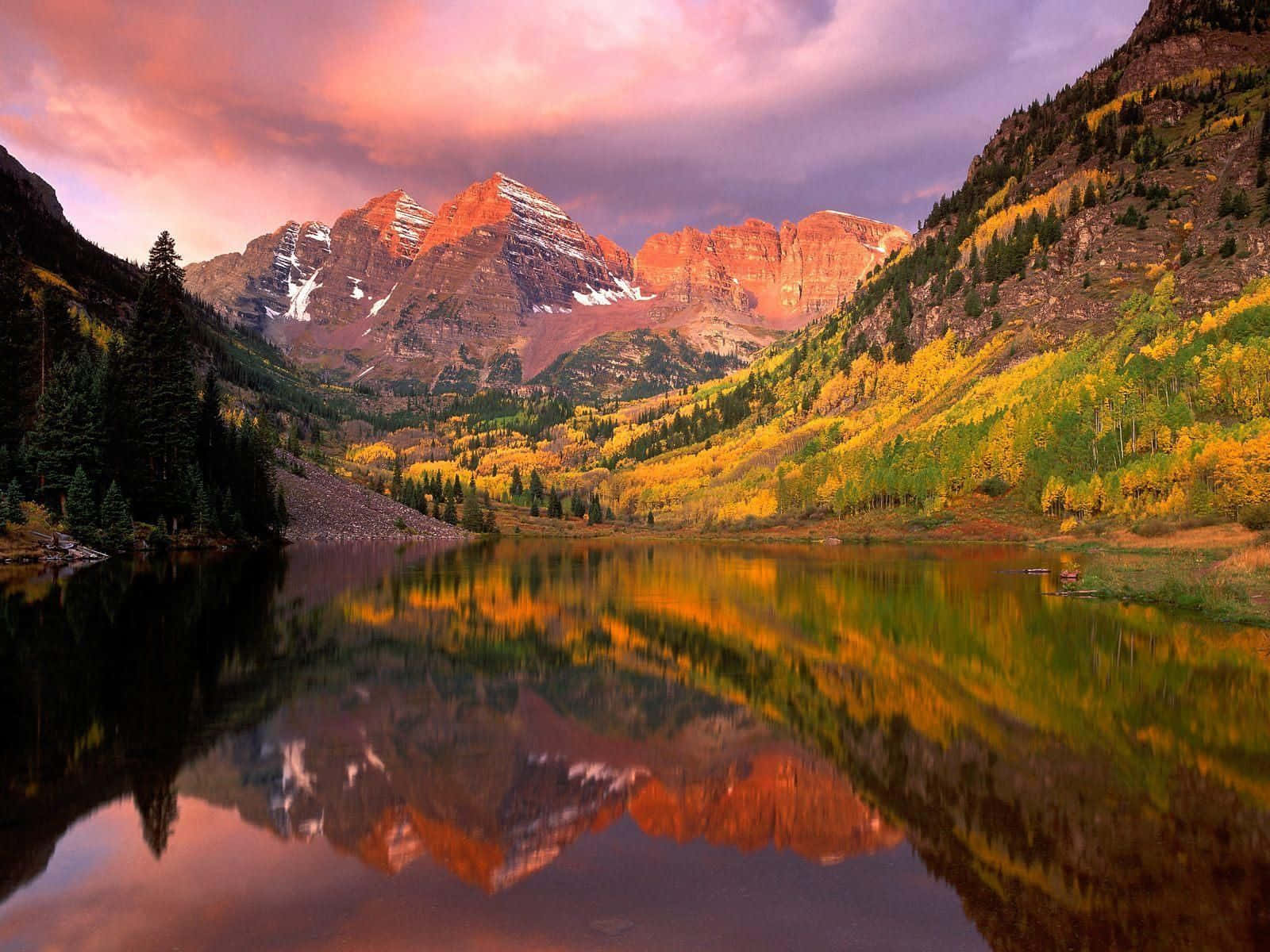 Seguiil Sentiero: Vivi La Natura Nel Suo Massimo Splendore In Colorado. Sfondo