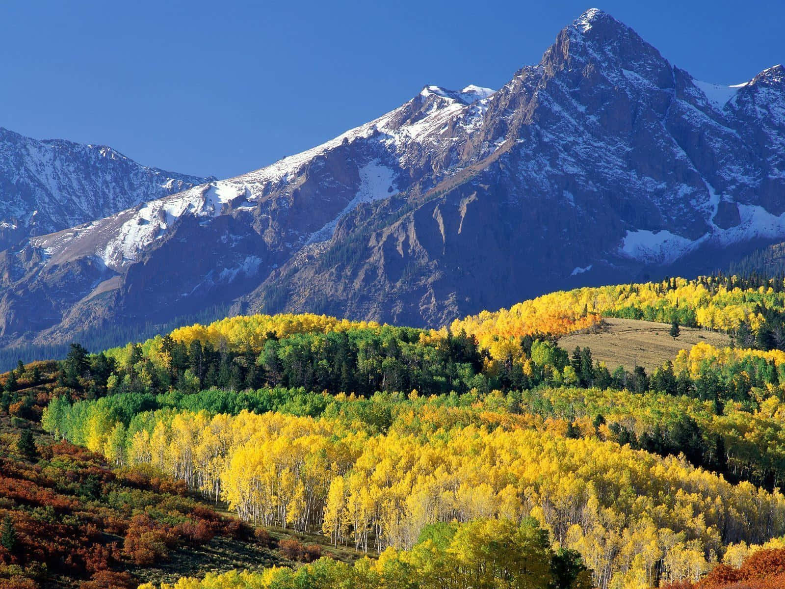 Mountsneffels Gipfel Colorado Desktop Wallpaper