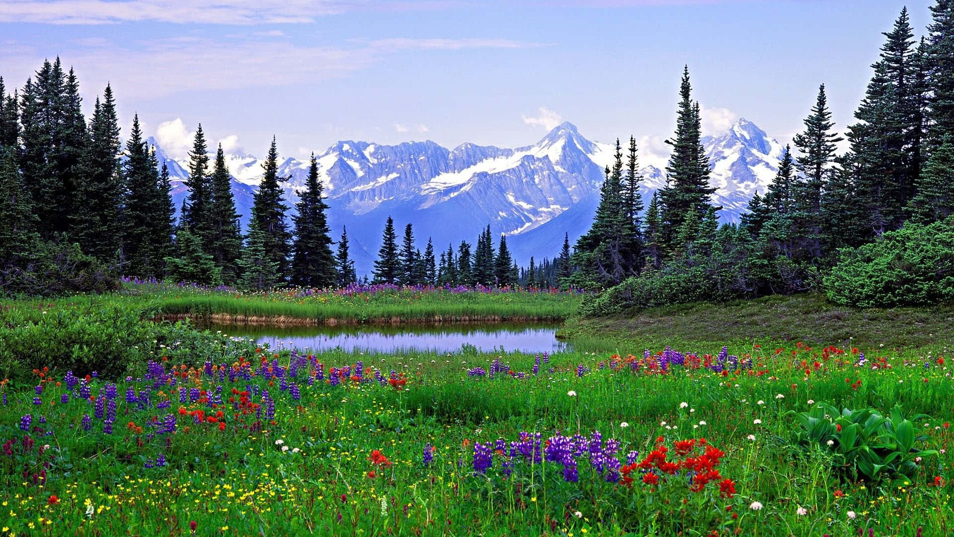 Impresionantevista De Las Montañas Rocosas En Colorado. Fondo de pantalla