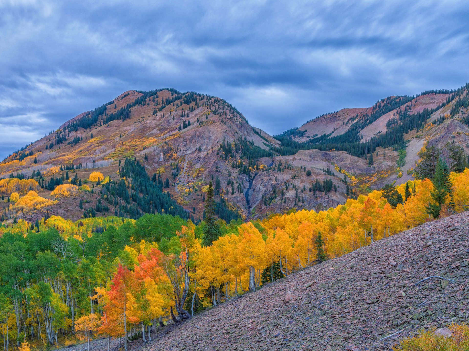 Paisagemnatural Com O Outono No Colorado Para O Seu Desktop. Papel de Parede