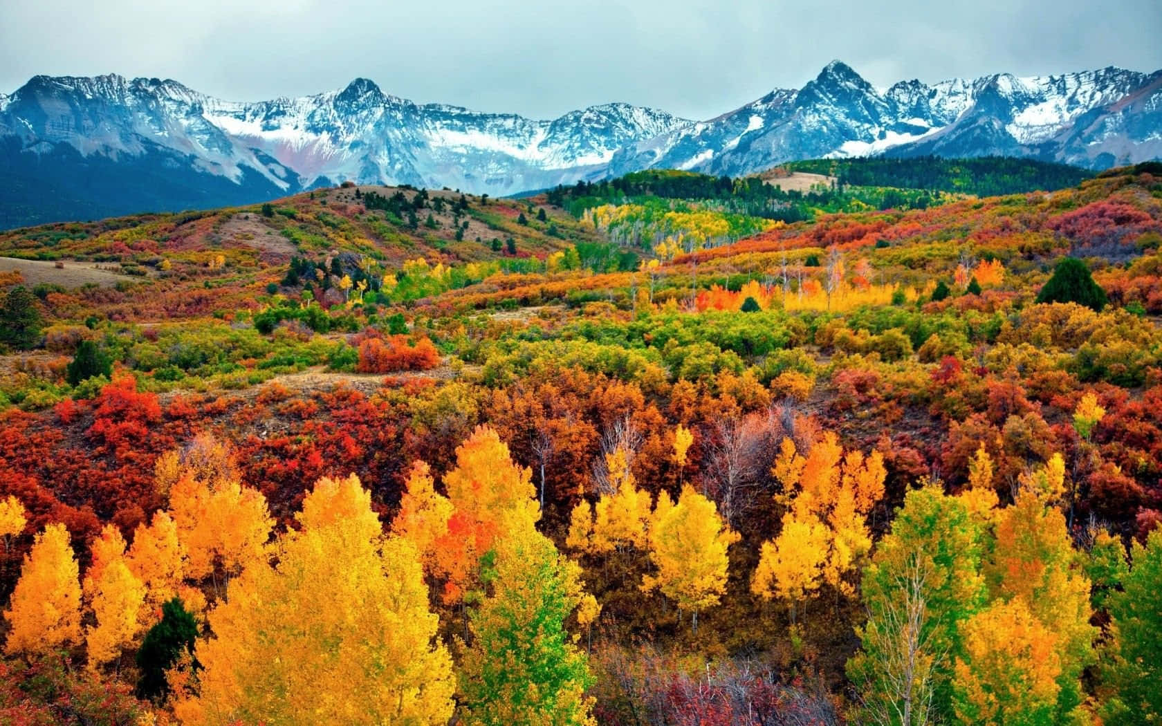 Sfondoper Desktop Del Parco Nazionale Delle Montagne Rocciose In Colorado Sfondo