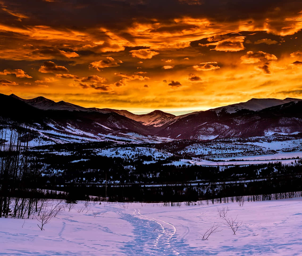 Take in the Beauty of Colorado's Majestic Mountains