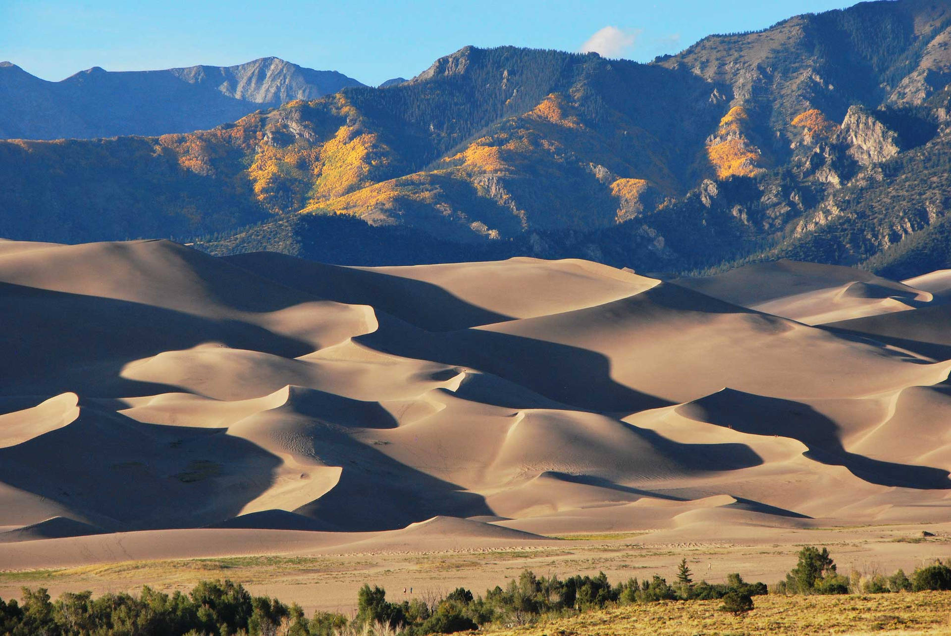 Colorado's Great Sand Dunes Park Wallpaper