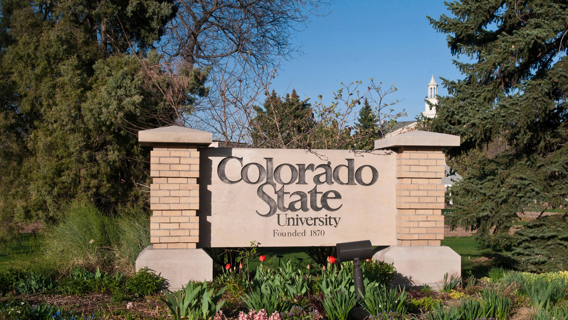 Universidadlíder De Colorado State Fondo de pantalla