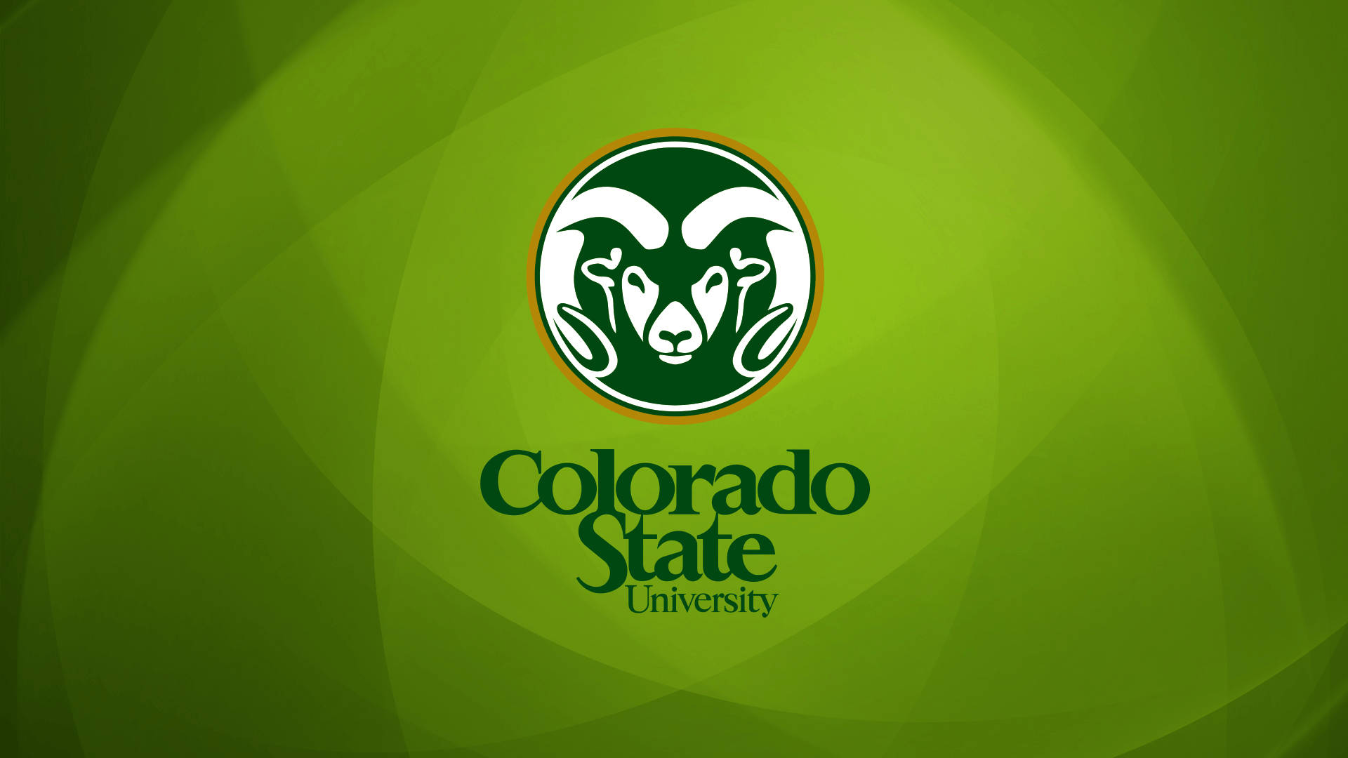 Colorado State University Football Logo Wallpaper