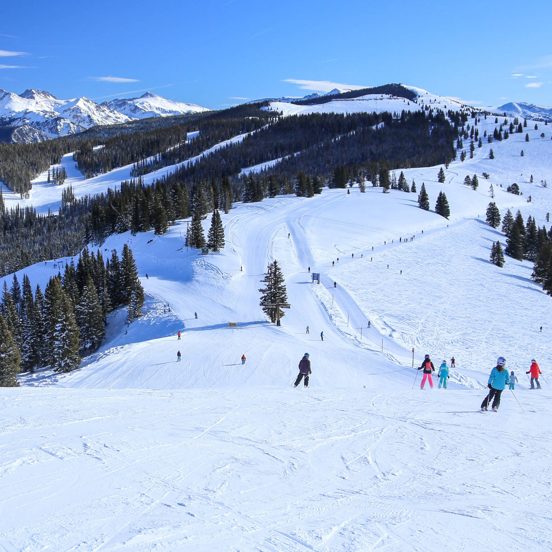 Colorado Vail Ski Trail