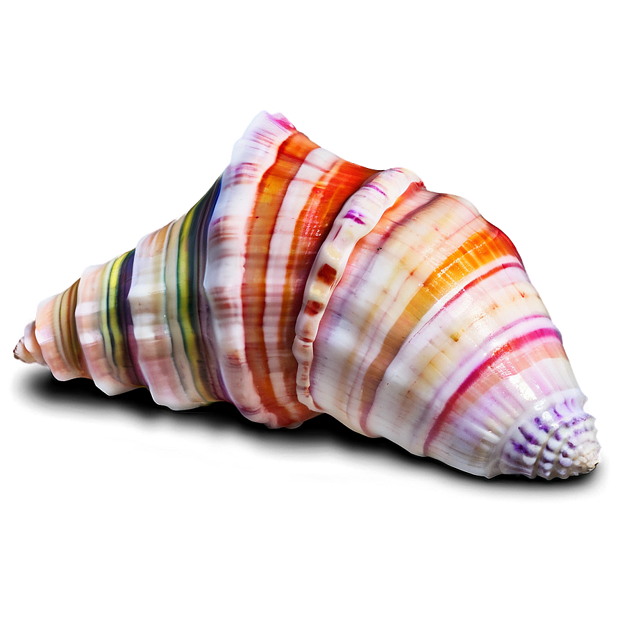 Colored Conch Shell Png 06132024 PNG