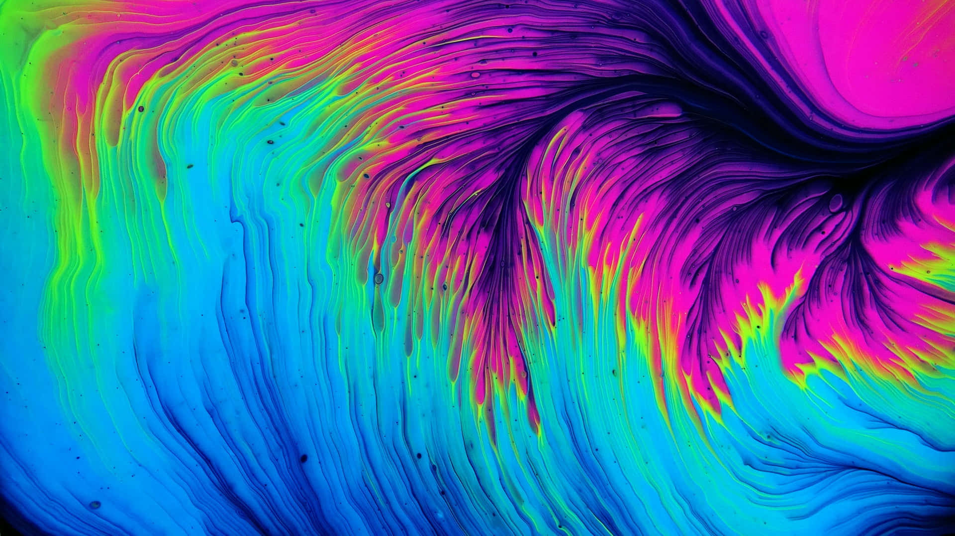 Neon Colorful Abstract Art Wallpaper