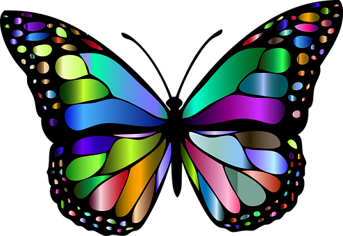 Colorful Abstract Butterfly PNG