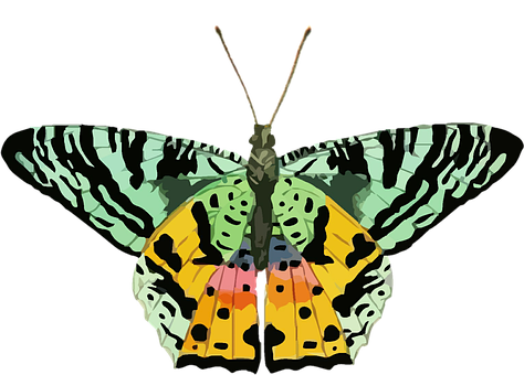 Colorful_ Abstract_ Butterfly_ Art PNG