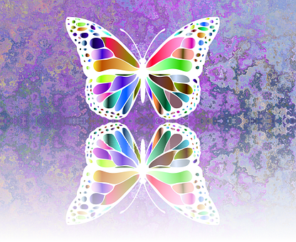 Colorful Abstract Butterfly Artwork PNG