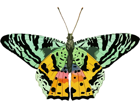 Colorful Abstract Butterfly PNG