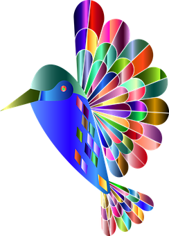 Colorful Abstract Hummingbird Art PNG