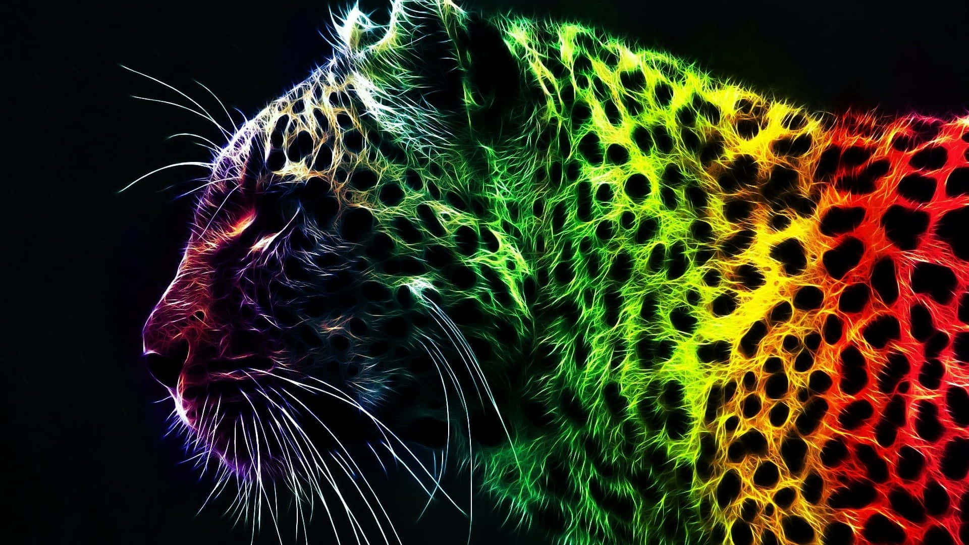 Colorful Abstract Leopard Profile Wallpaper