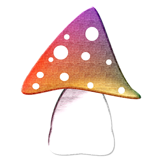 Colorful Abstract Mushroom Art PNG