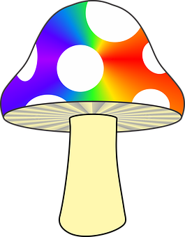 Colorful Abstract Mushroom PNG