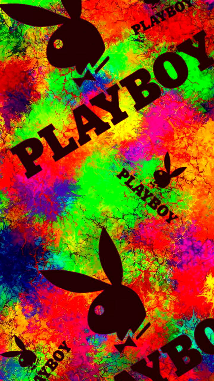 Colorful Abstract Playboy Logo