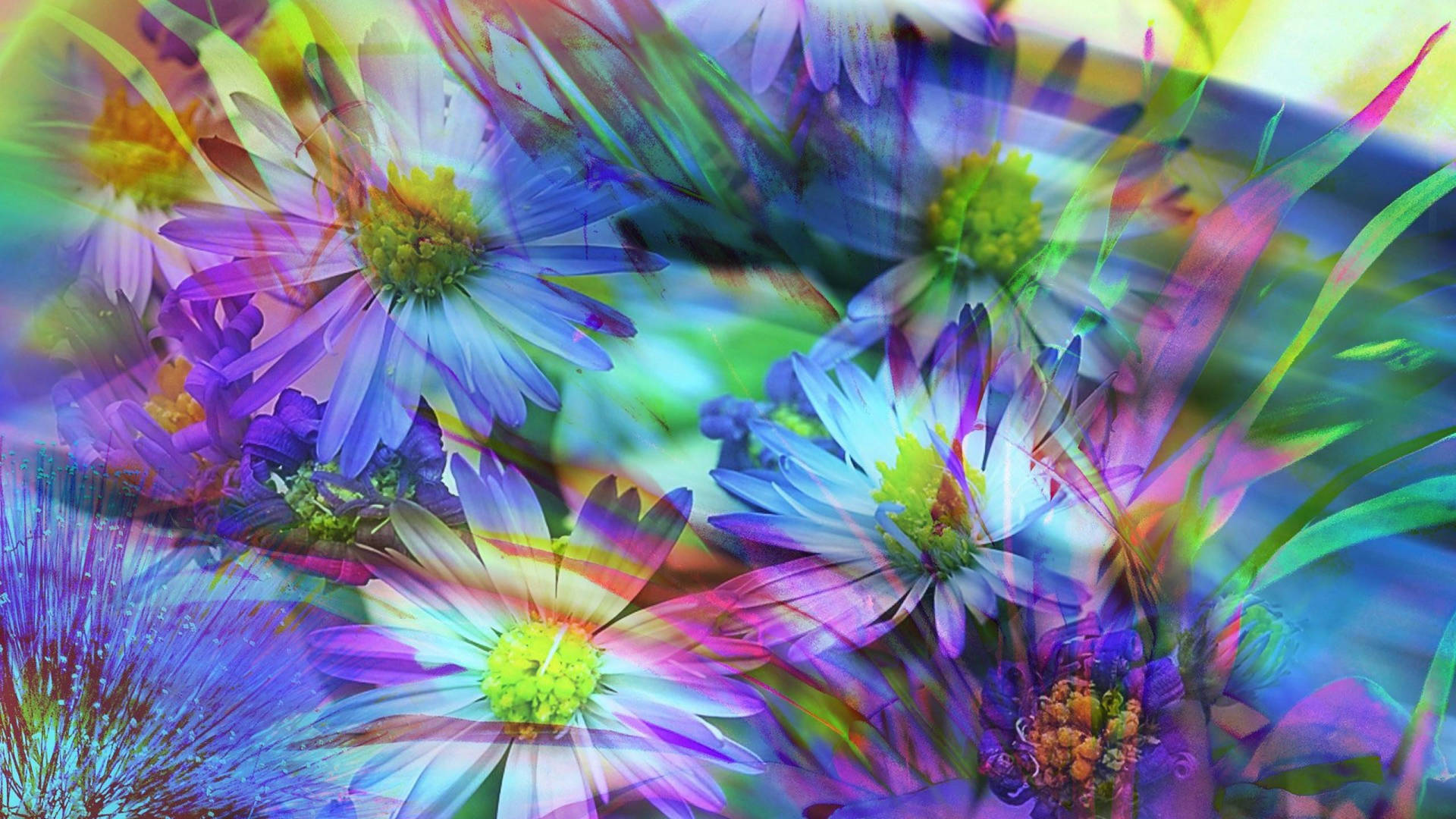 Floresabstractas Coloridas De Primavera Fondo de pantalla