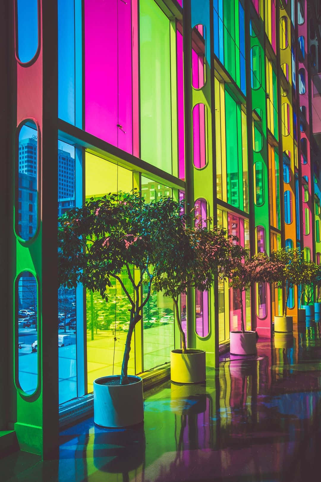 Colorful Aesthetic Windows And Plants Wallpaper