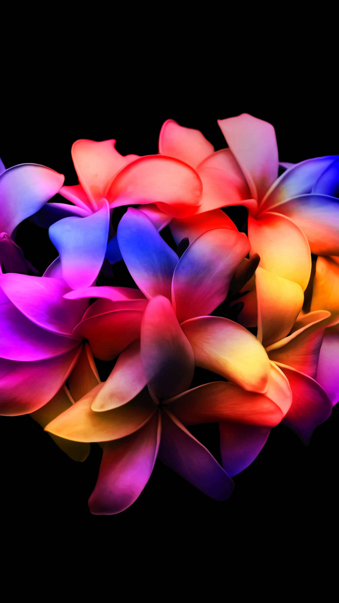 Pétalosde Flores De Plumeria Amoled Coloridos. Fondo de pantalla