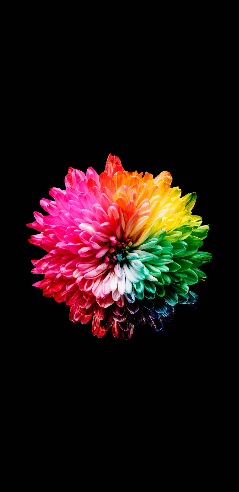 Brighten up your life with Colorful AMOLED Wallpaper