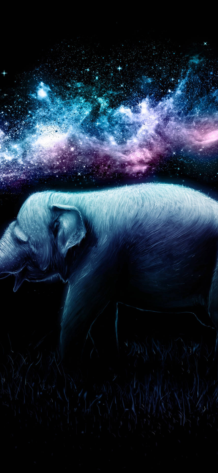 An Elephant Standing In The Grass With Stars In The Background Wallpaper