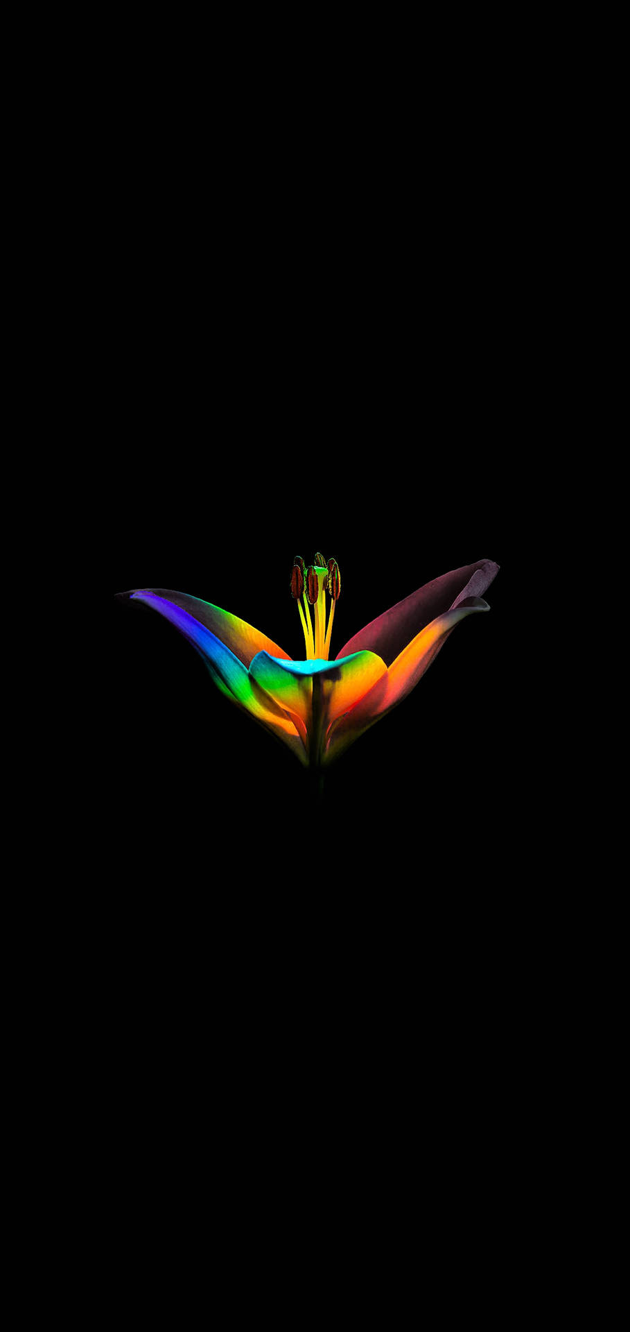 Experience vivid, colorful visuals on an AMOLED display. Wallpaper