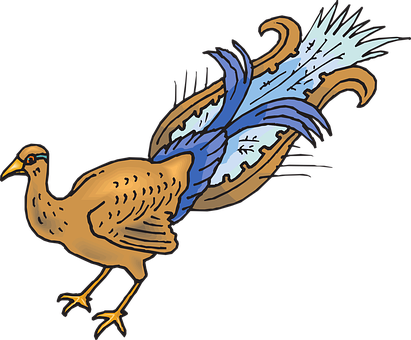 Colorful Animated Bird Illustration PNG