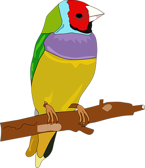 Colorful Animated Bird Perchedon Branch PNG