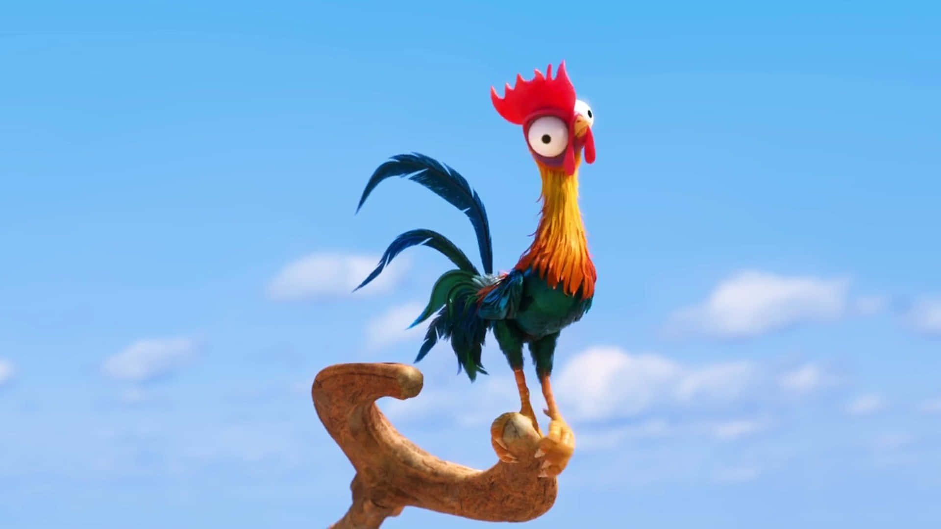 Colorful Animated Roosteron Branch Wallpaper