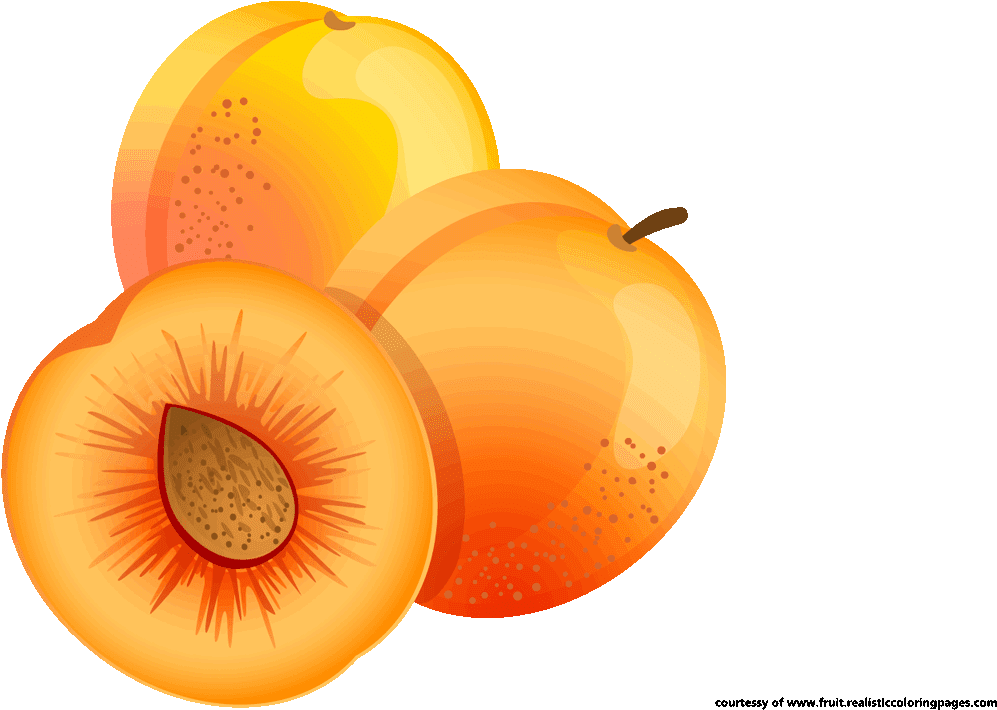 Colorful Apricots Illustration PNG
