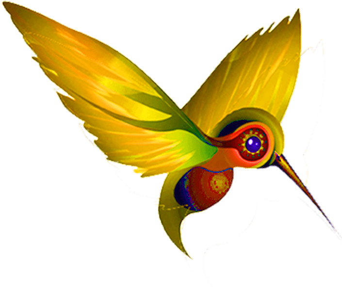 Colorful Artistic Hummingbird Illustration PNG