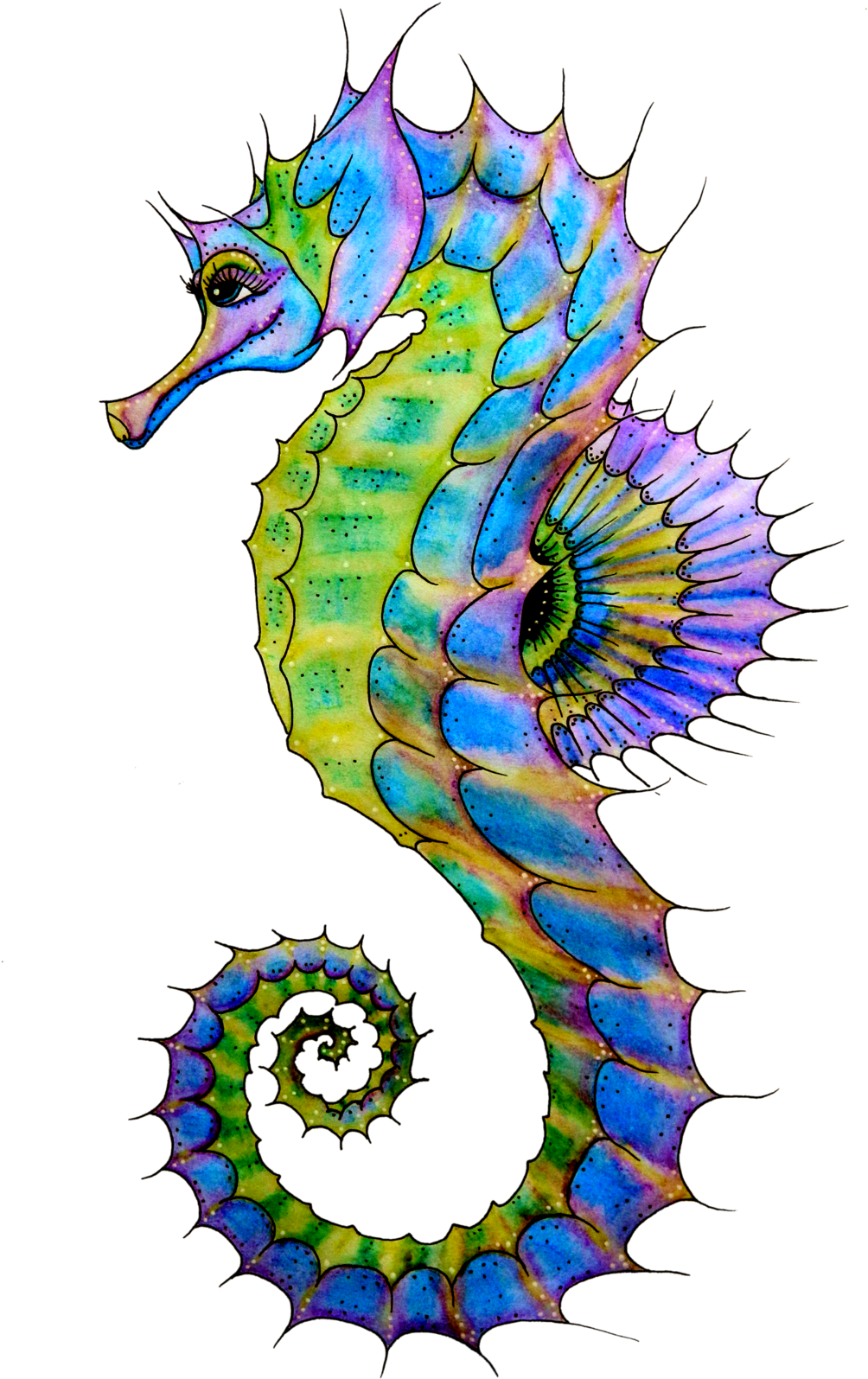 Colorful Artistic Seahorse Illustration PNG