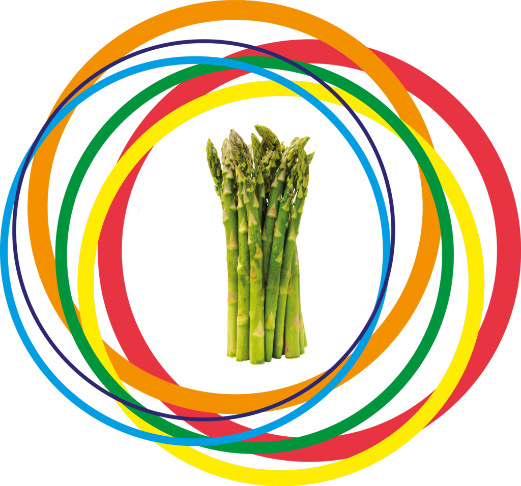 Colorful Asparagus Swirls PNG