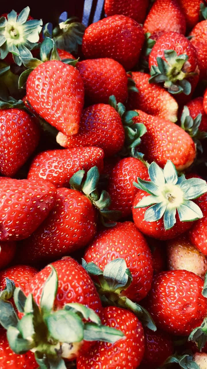 Colorful Assortment Of Fresh Fruits