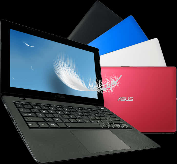 Colorful Asus Laptops Display PNG