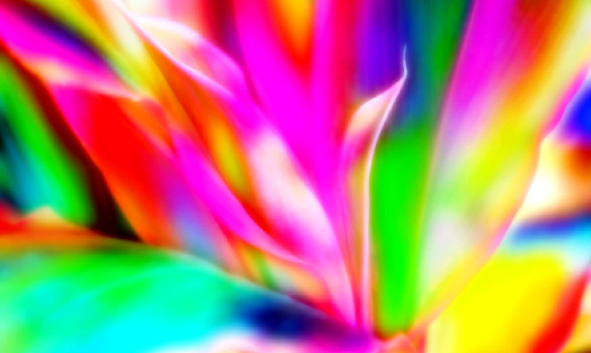 Unfondo Abstracto Colorido Con Una Flor