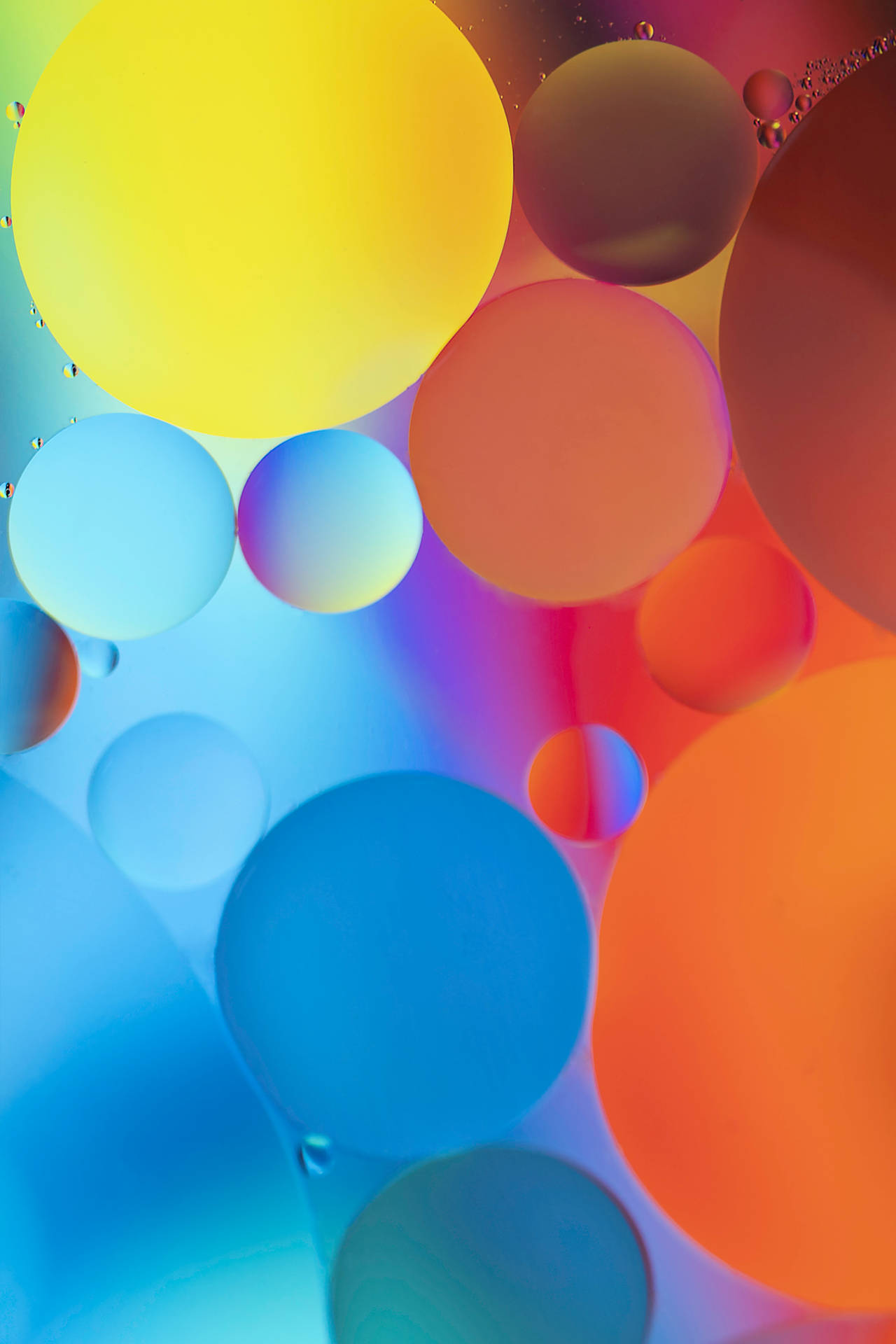 Colorful Balloon Designs
