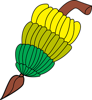 Colorful Banana Bunch Vector Illustration PNG