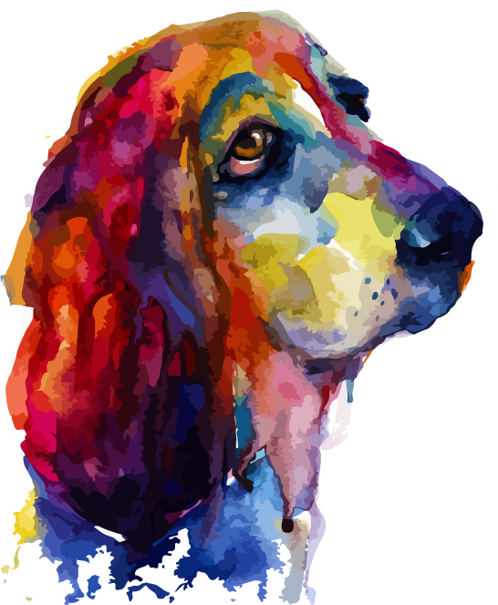 Colorful Basset Hound Portrait PNG