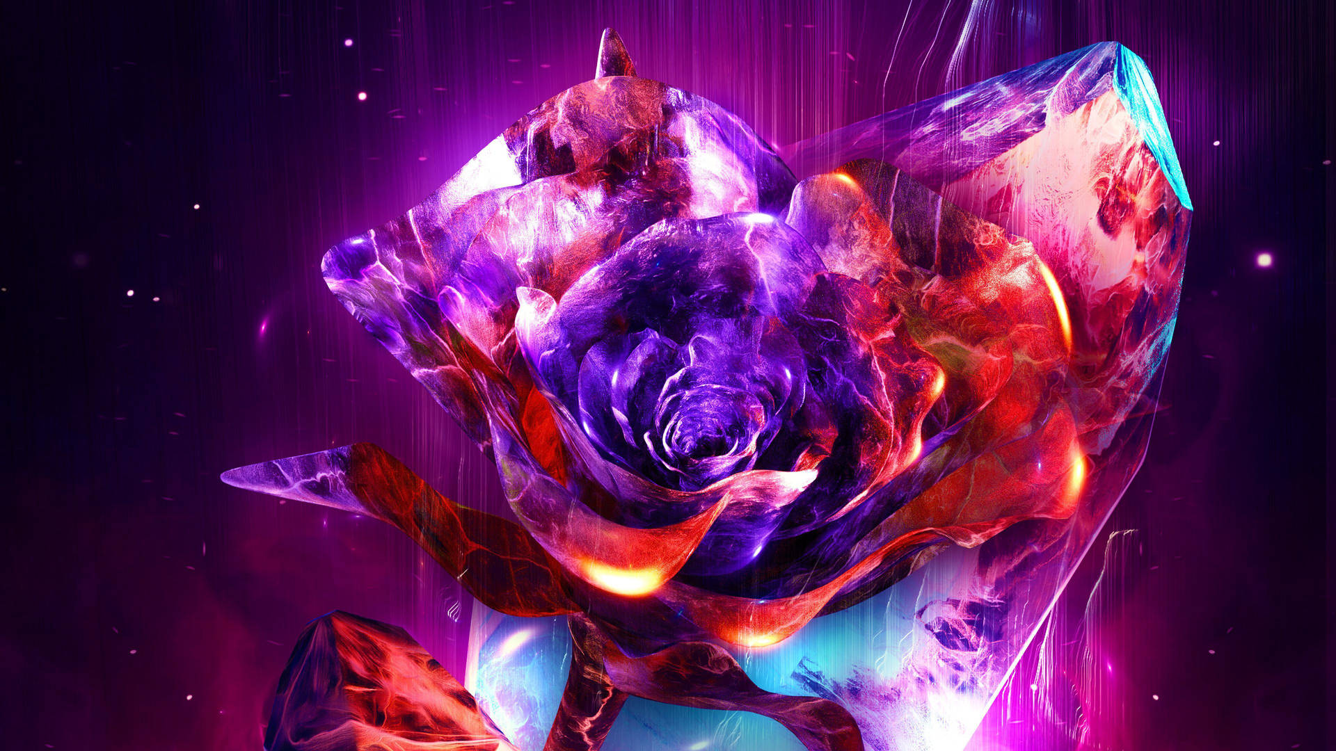 Colorful Beauty And The Beast Rose Wallpaper