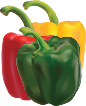 Colorful Bell Peppers Illustration PNG