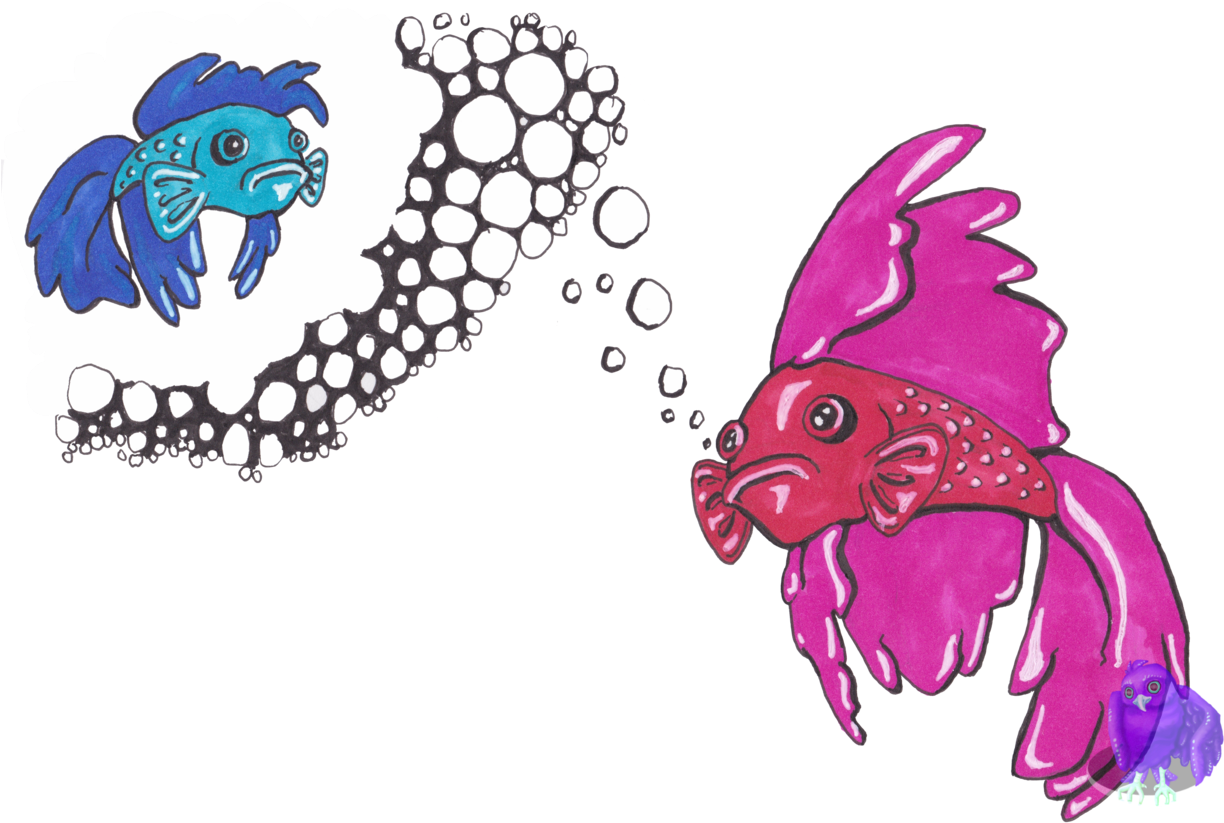 Colorful Betta Fish Artwork PNG