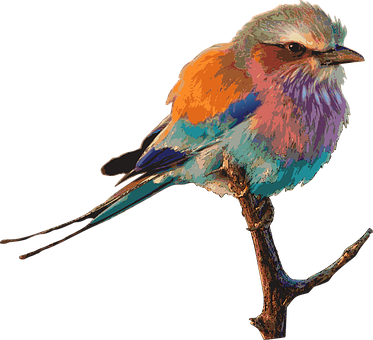 Colorful Bird Illustration PNG