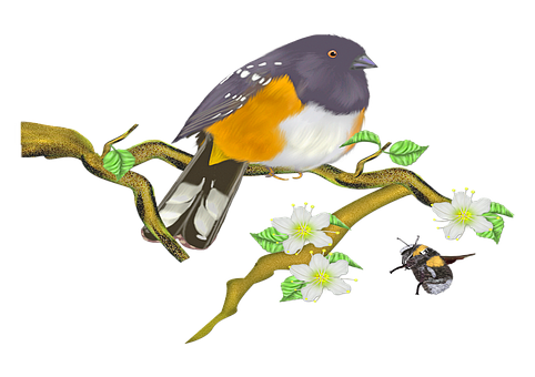 Colorful_ Bird_on_ Branch_with_ Flowers_and_ Insect PNG