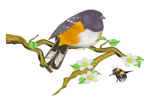Colorful_ Bird_on_ Flowering_ Branch PNG
