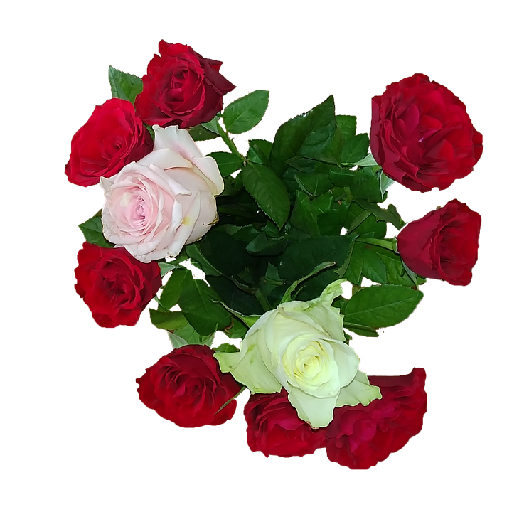 Colorful Bouquetof Roses PNG