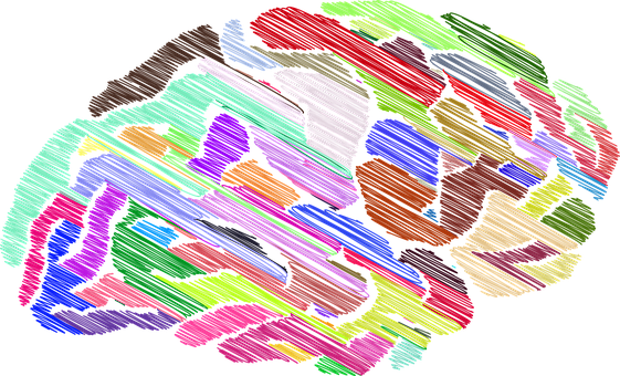 Colorful Brain Artwork PNG